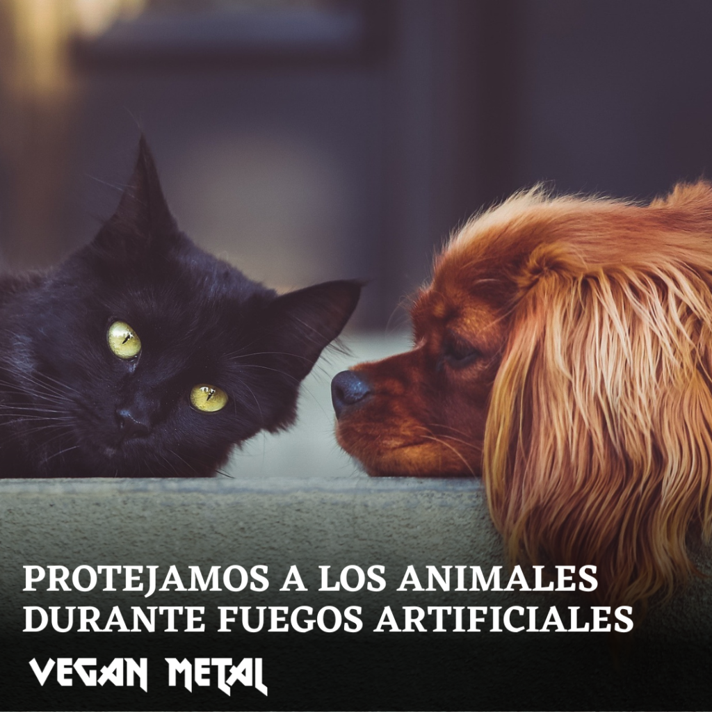 animales fuegos artificiales