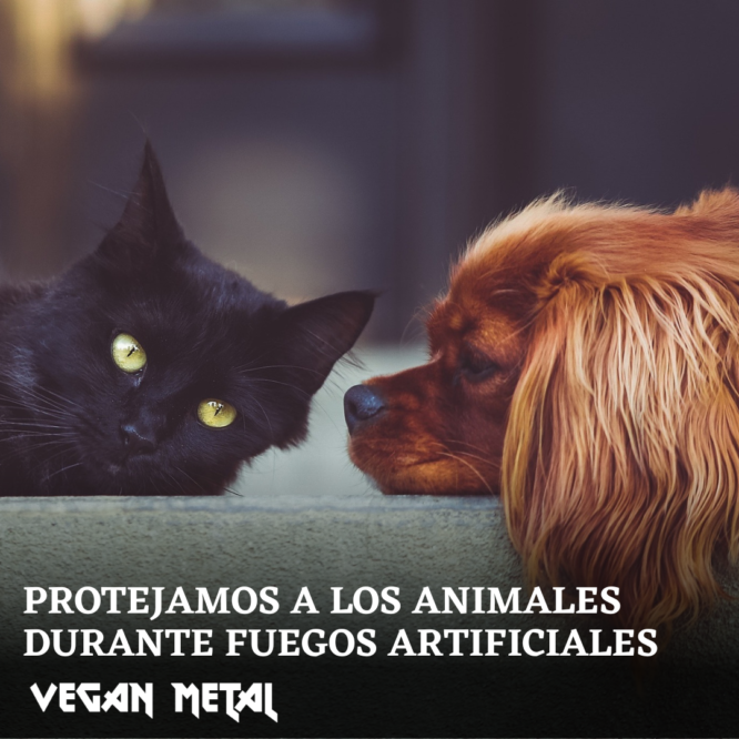 animales fuegos artificiales