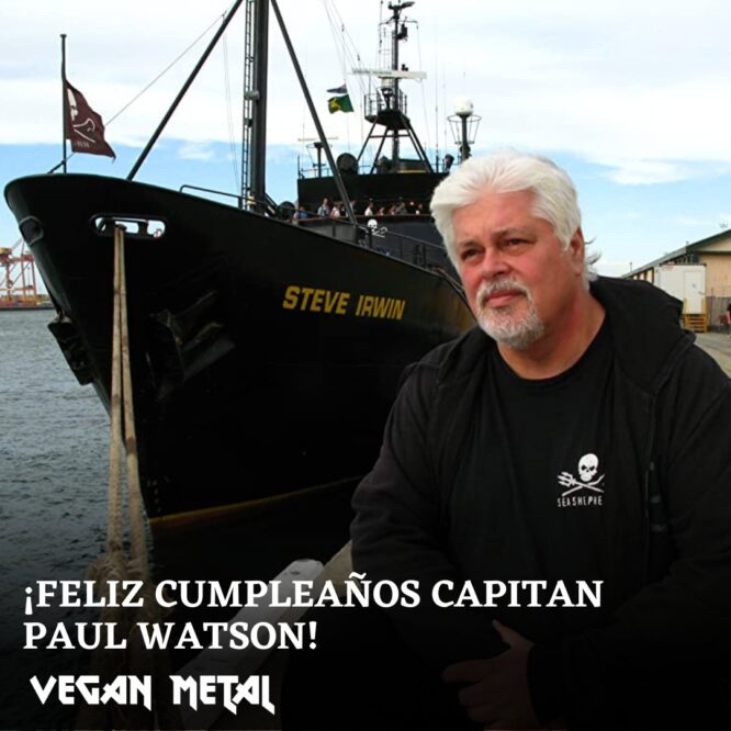 Paul Watson