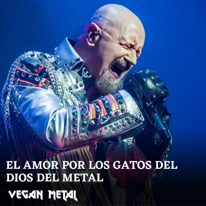 Rob Halford gatos