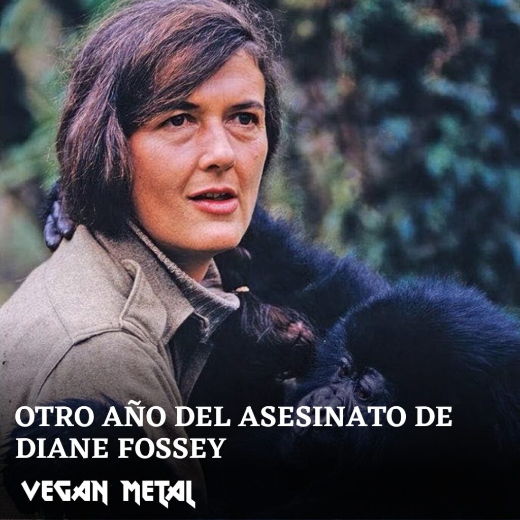 Dian Fossey