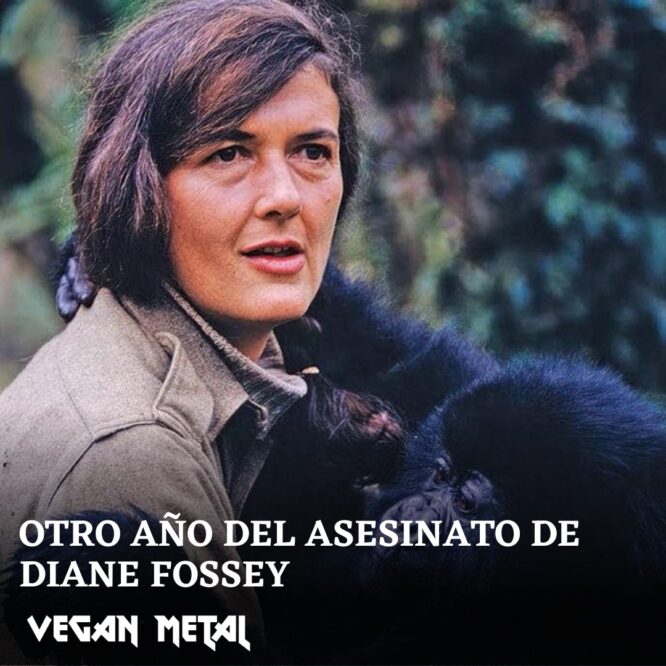 Dian Fossey