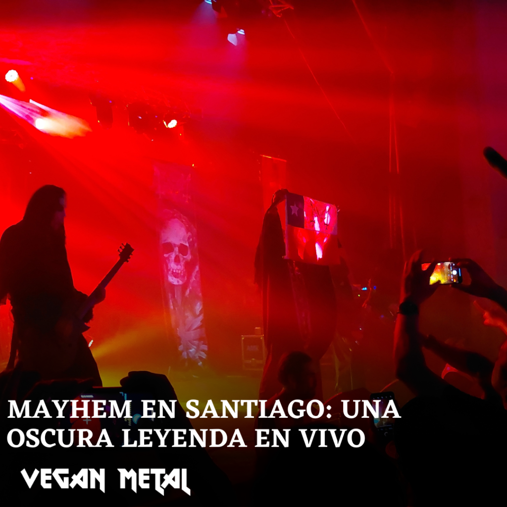 Mayhem Chile