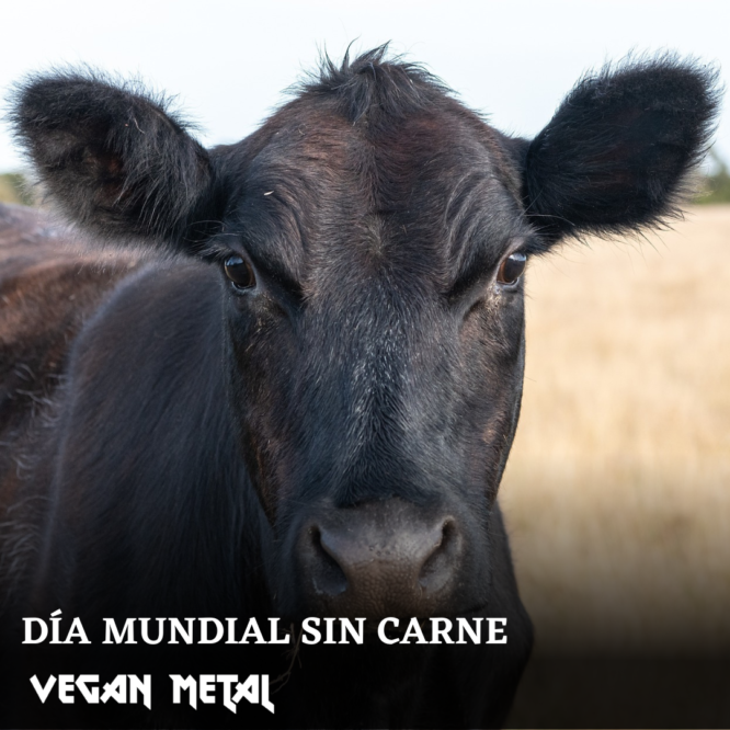 Día Mundial sin Carne